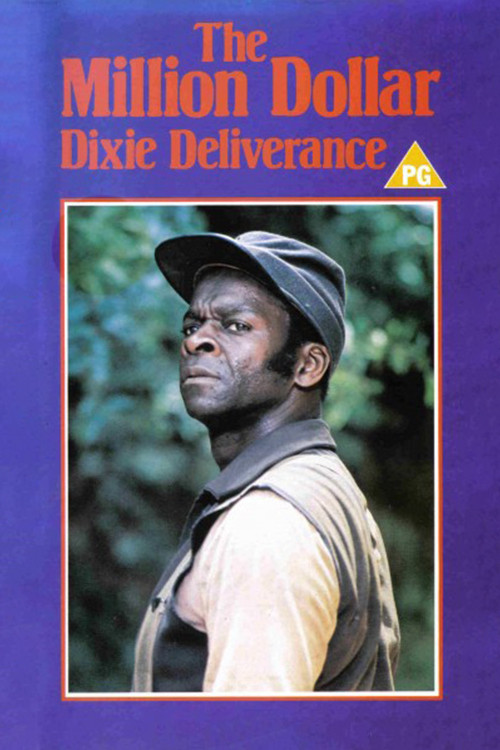 The Million Dollar Dixie Deliverance (1978) poster