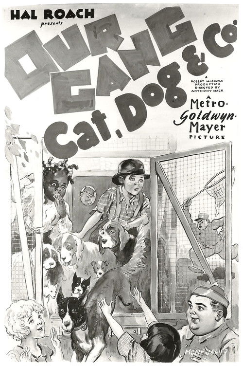 Cat, Dog & Co. (1929) poster
