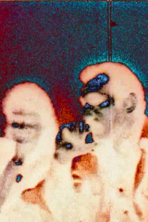 Meeting Paul in Buffalo (2010) poster