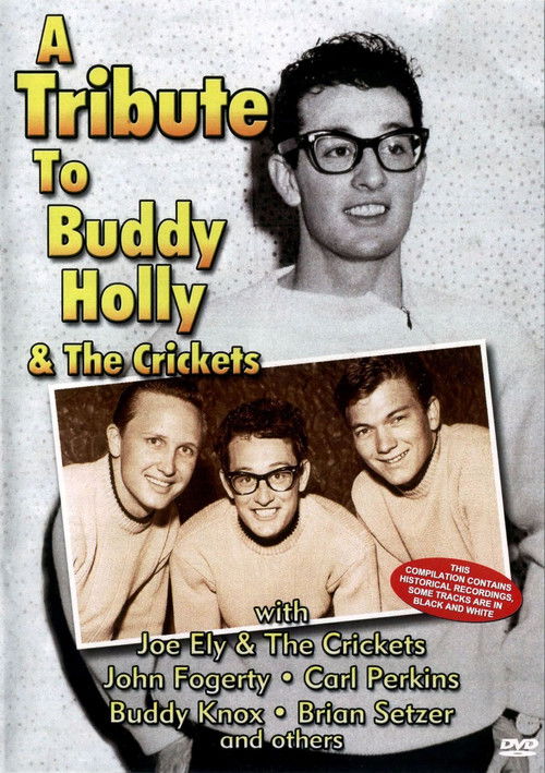 A Tribute To Buddy Holly And The Crickets (2004) poster