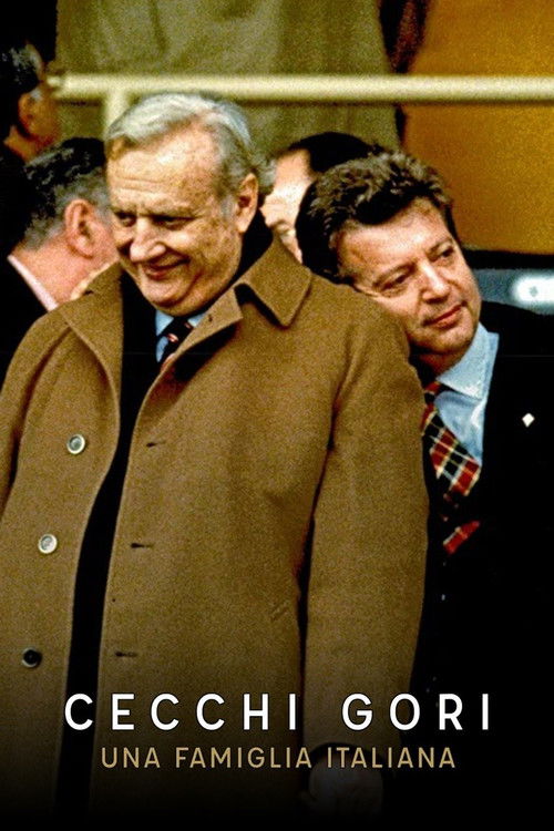 Cecchi Gori - Una famiglia italiana (2019) poster