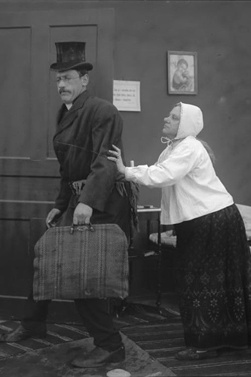 När svärmor regerar (1914) poster