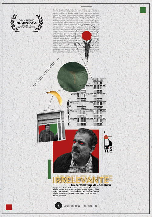 Irrelevante (2025) poster