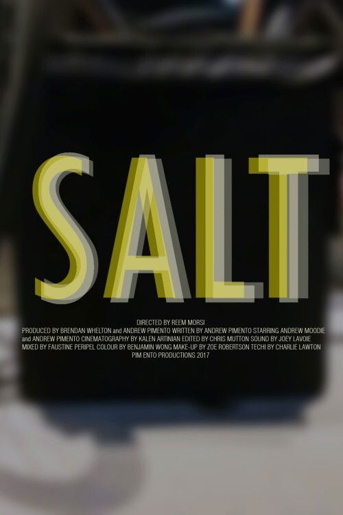 Salt (2017) poster