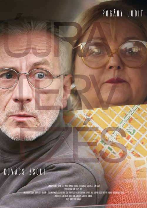 My Guide (2013) poster