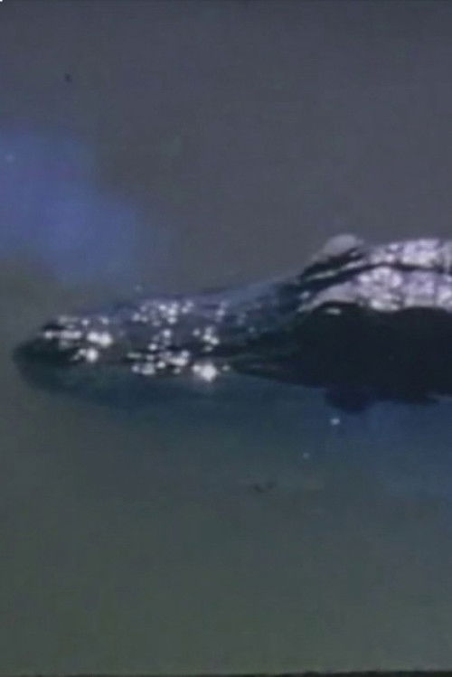 Wind Across the Everglades (2022) poster