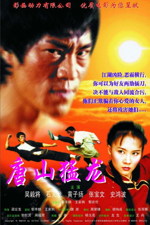 Dragon the Master 2 (2002) poster