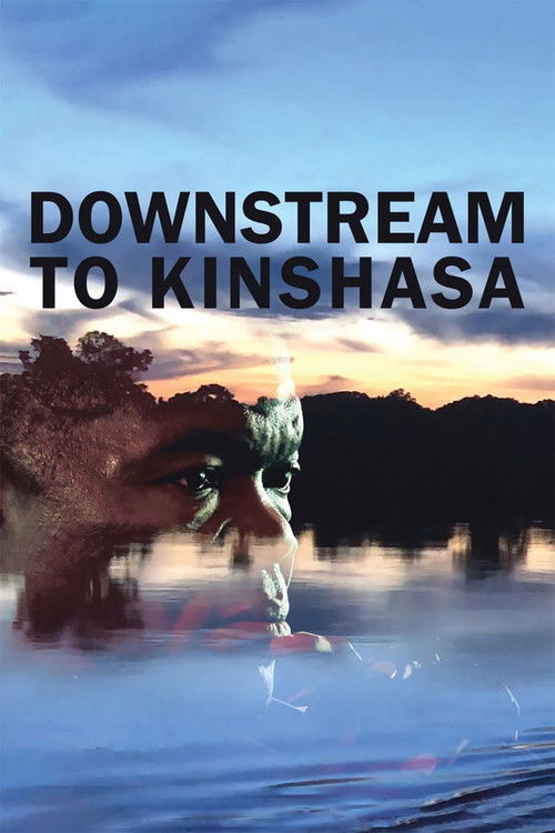 Downstream to Kinshasa (2020) poster