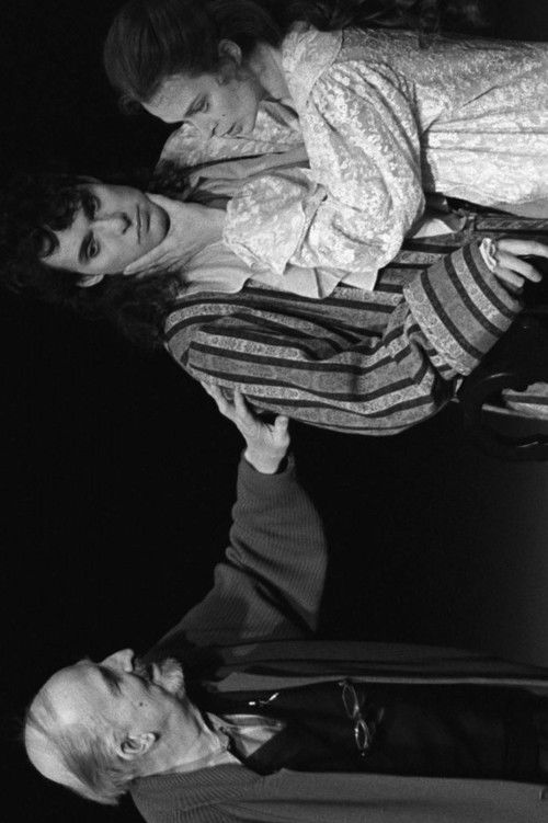 Men and Bergman (2008) poster