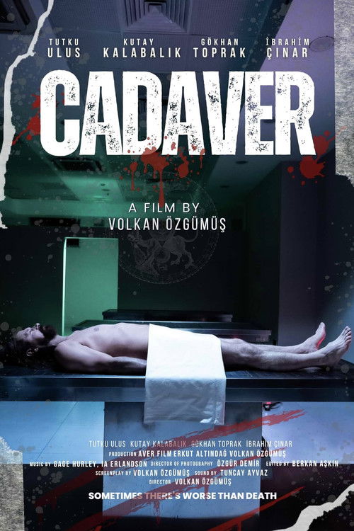 The Cadaver (2022) poster
