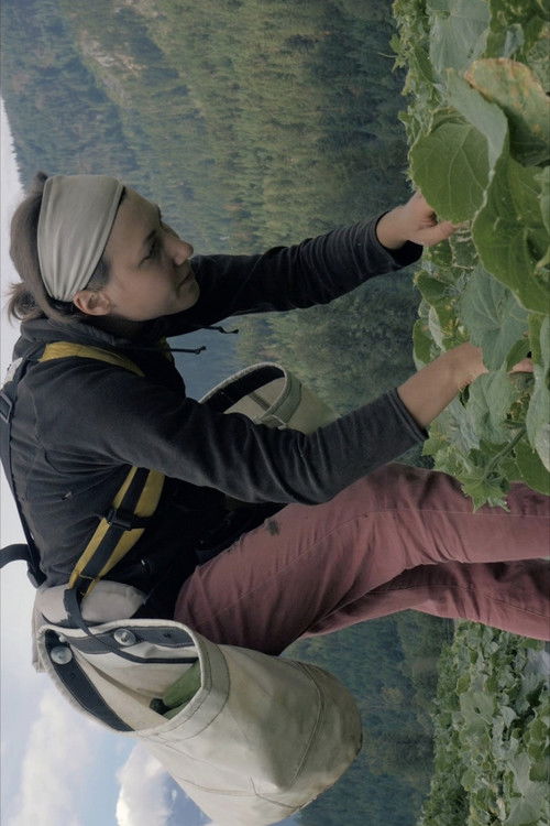 Age of the Farmer (2015) poster