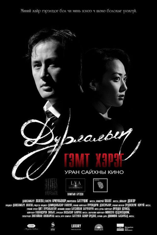 A Crime of Love (2013) poster