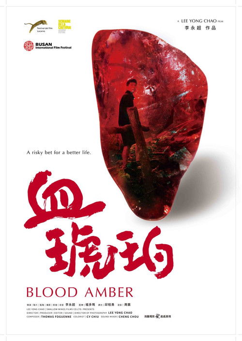 Blood Amber (2017) poster