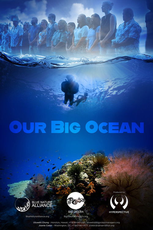 Our Big Ocean (2023) poster