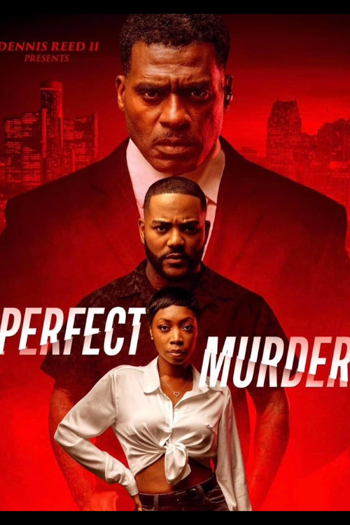 Perfect Murder (2024) poster