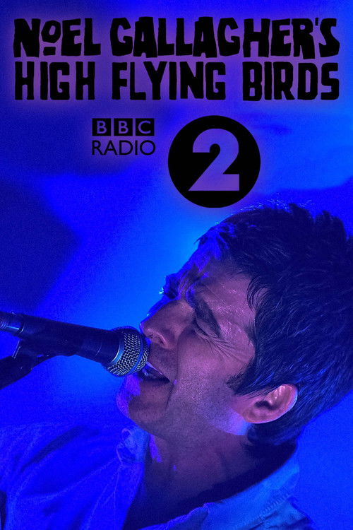 Noel Gallagher's High Flying Birds: Live at BBC Radio Theatre (2011) poster