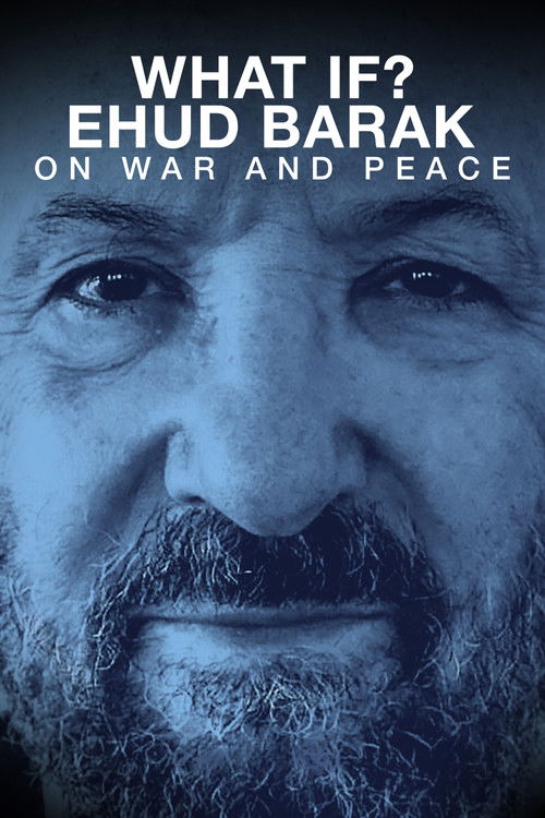 What if? Ehud Barak on War and Peace (2020) poster