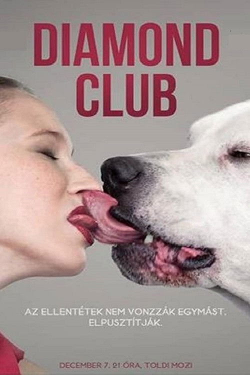 Diamond Club (2011) poster