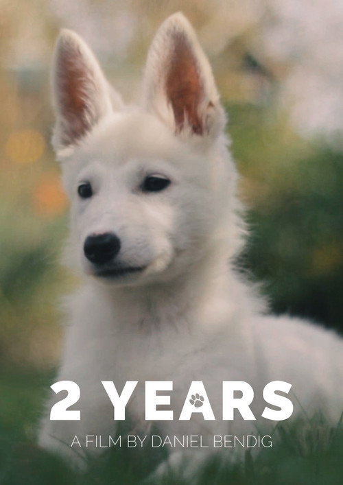 2 Years (2019) poster