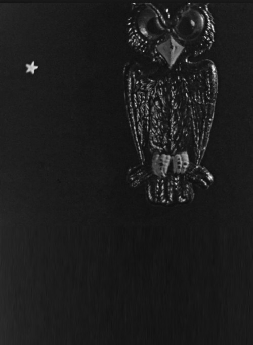 The Spider and the Fly (1938) poster