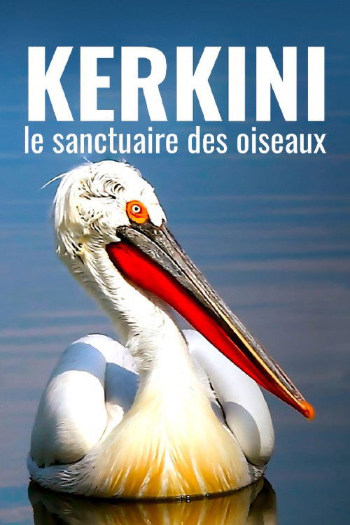 Kerkini: The Bird Sanctuary (2021) poster