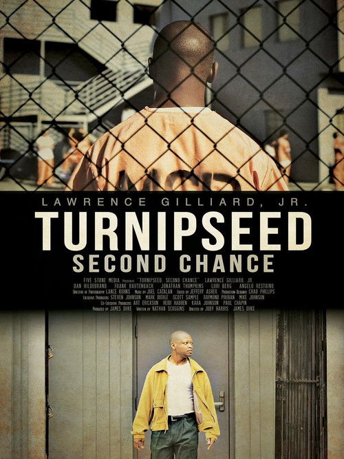 Turnipseed: Second Chance (2013) poster