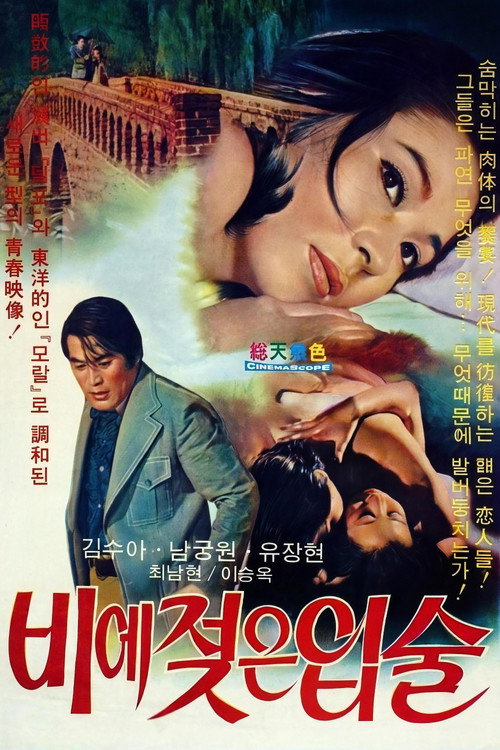 비에 젖은 입술 (1974) poster