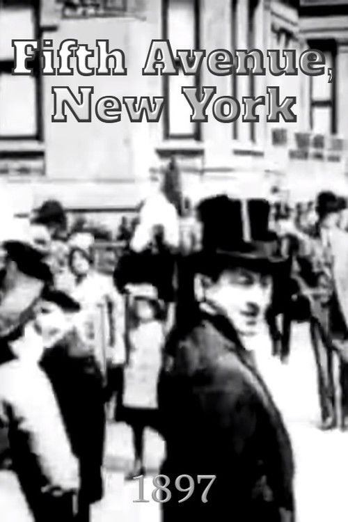 Fifth Avenue, New York (1897) poster