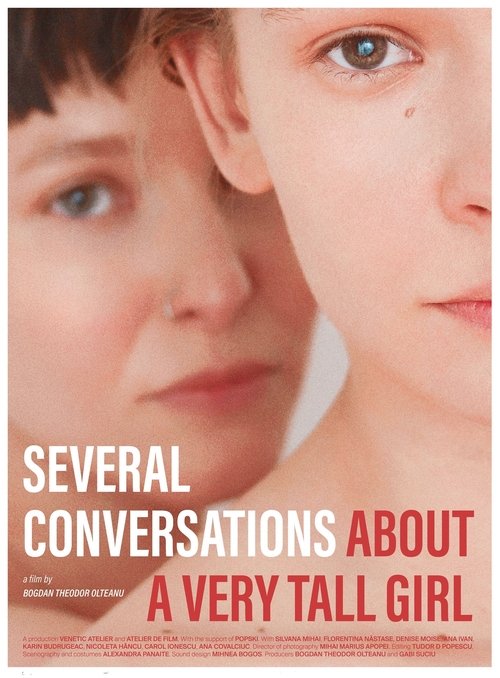 Several Conversations About a Very Tall Girl (2018) poster