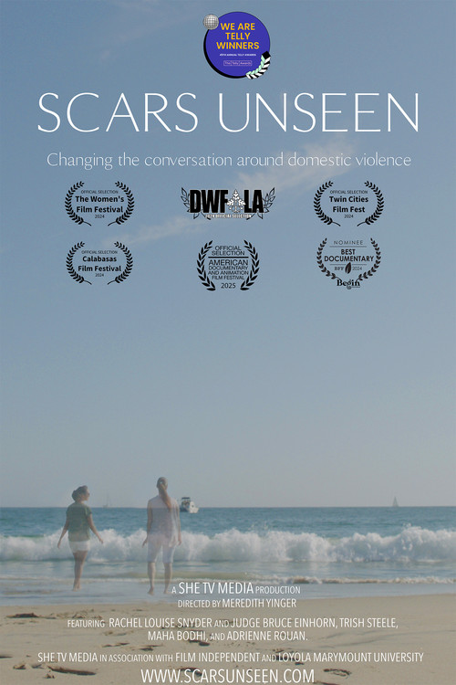 Scars Unseen (2024) poster