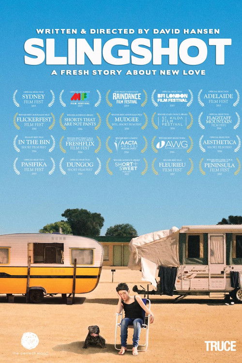 Slingshot (2015) poster