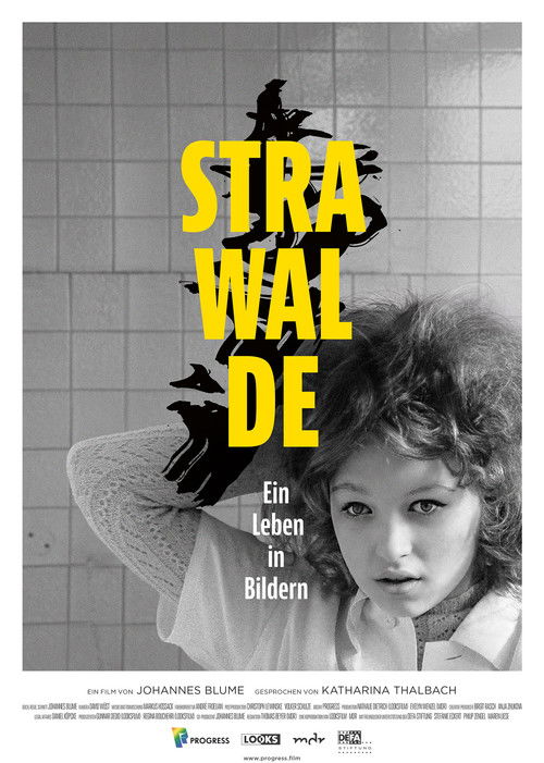 Strawalde - Ein Leben in Bildern (2021) poster