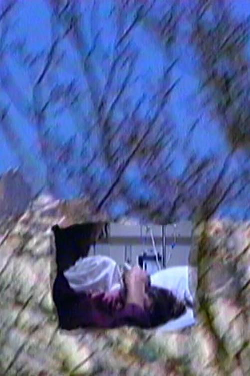 When My Mother's Brother Was Born, It Smelled Like Wild Pear Blossom in Front of the Brown-Burnt Sill (1992) poster