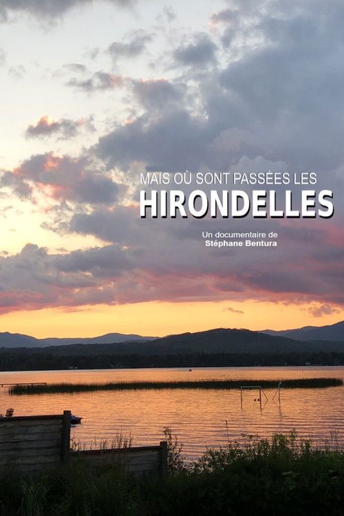 Où sont passées les hirondelles ? (2020) poster