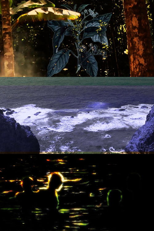 Three Enchantments (2016) poster