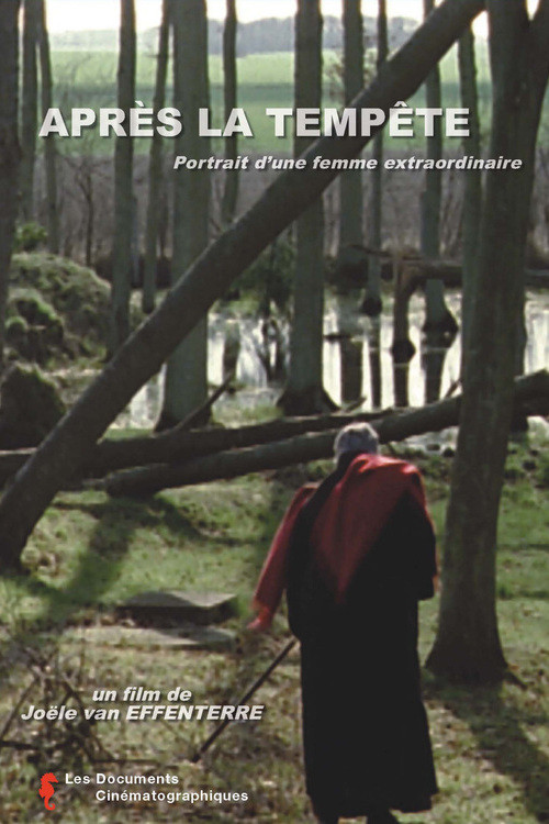 Après la tempête (2001) poster