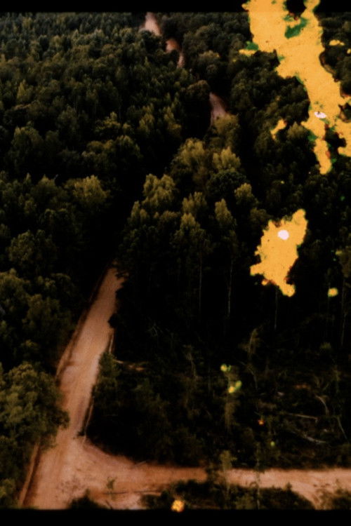 Boundary Exercise (On Perambulation) (2022) poster