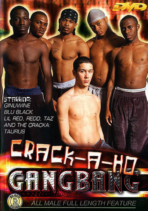 Crack-A-Ho Gang Bang (2004) poster