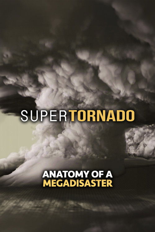 SuperTornado: Anatomy of a MegaDisaster (2015) poster