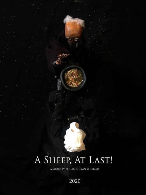 A Sheep, At Last! (2020) poster