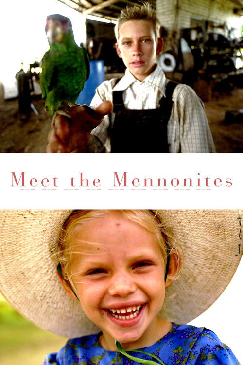 Meet the Mennonites (2020) poster