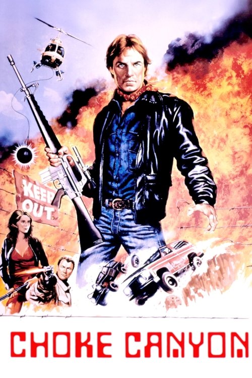 Tehlikeli Bölge (1986) poster