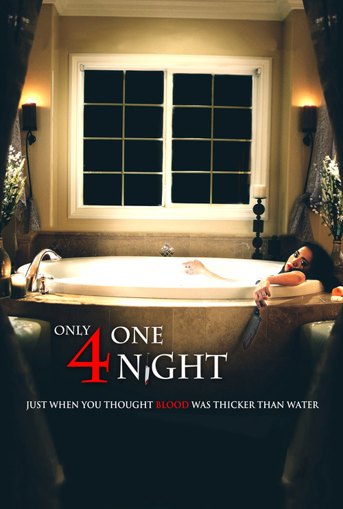 Only For One Night (2016) poster