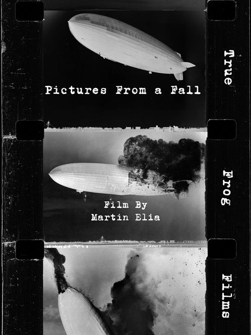 Pictures From a Fall (2024) poster
