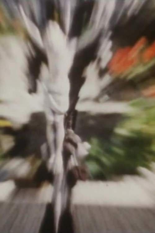 Reseminne (1968) poster