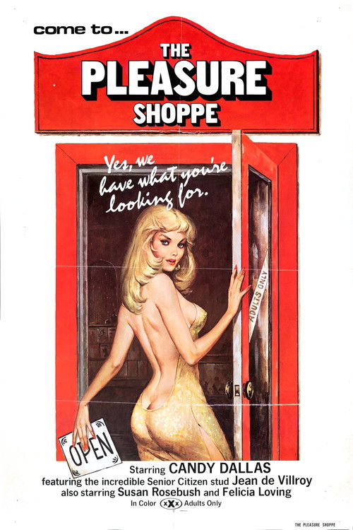 The Pleasure Shoppe (1976) poster