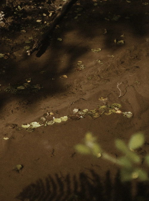 Les Grands Prés (2022) poster