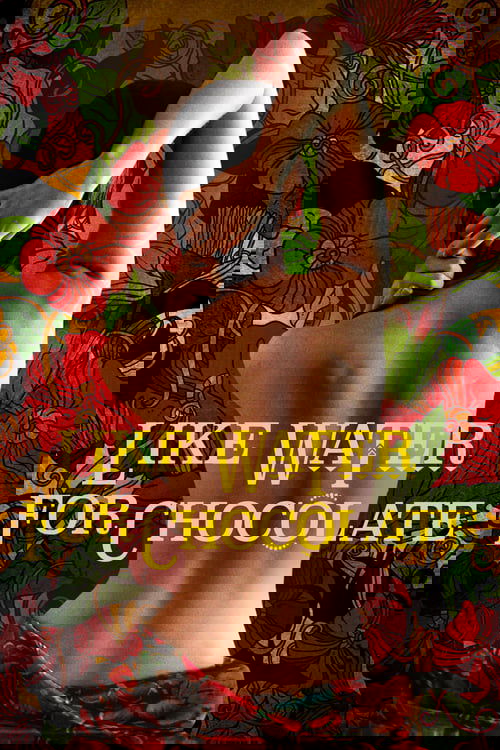 Like Water for Chocolate (1992) poster