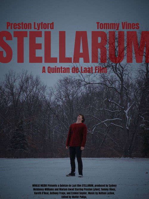 STELLARUM (2025) poster