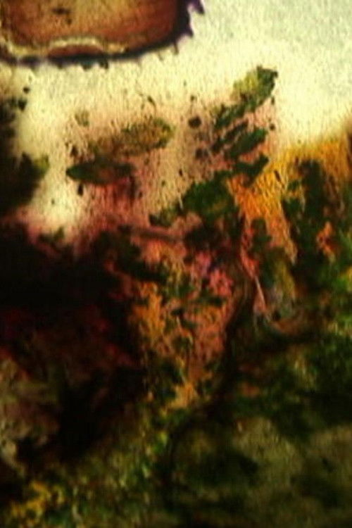 Jours en fleurs (2003) poster